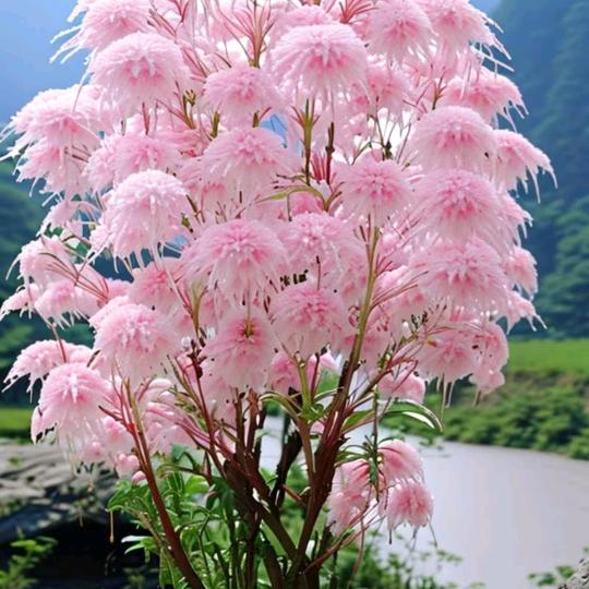 我想了一辈子，我想不通为啥子爱情让人很痛