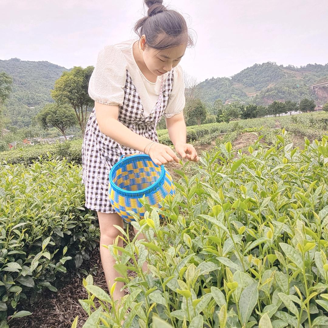 茶农小妹