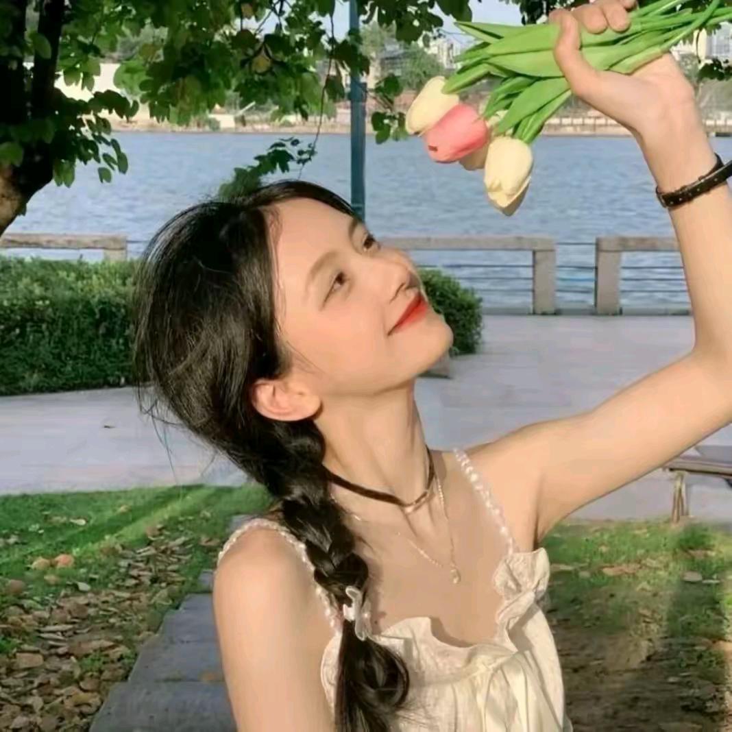 艾夏游戏