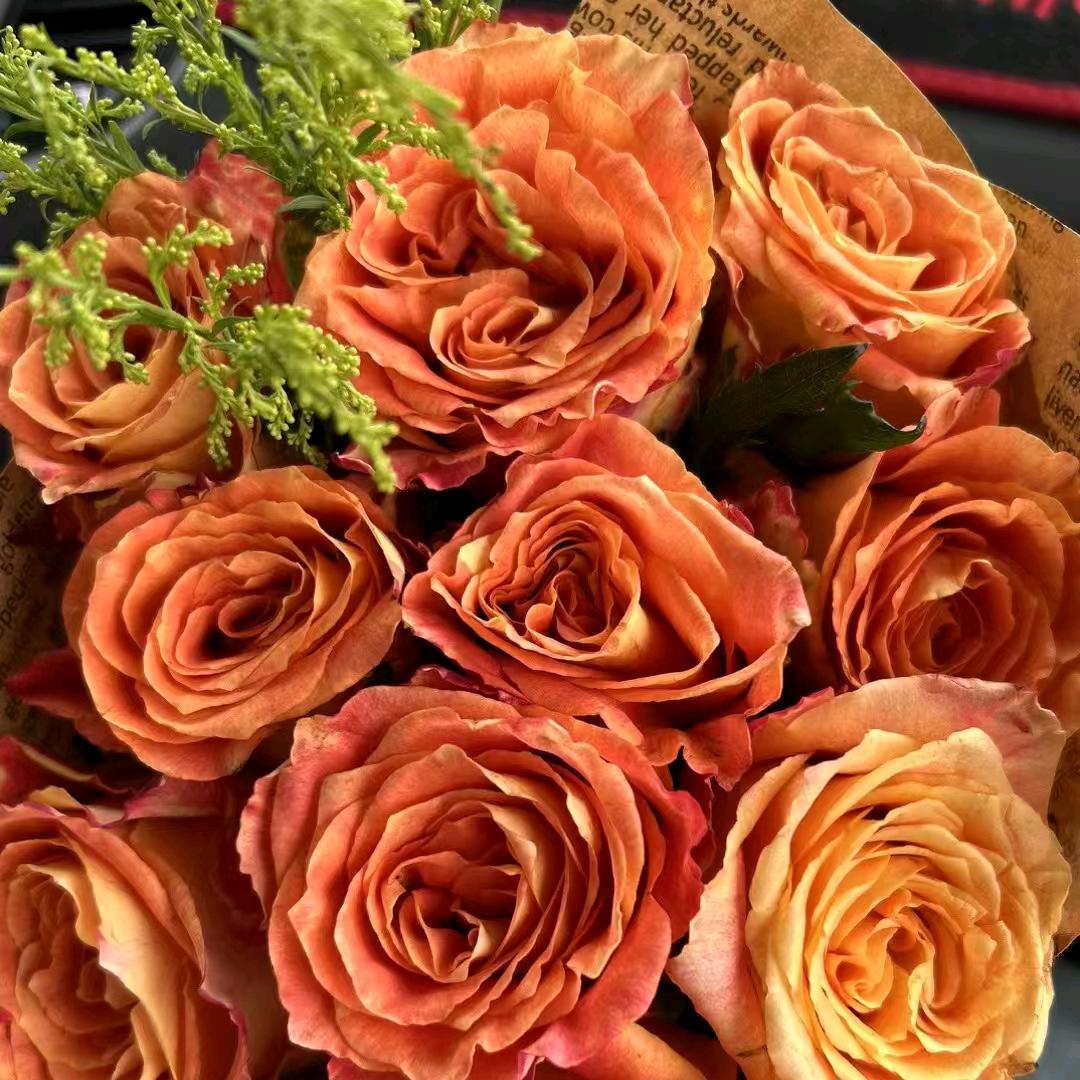 刘玉芝