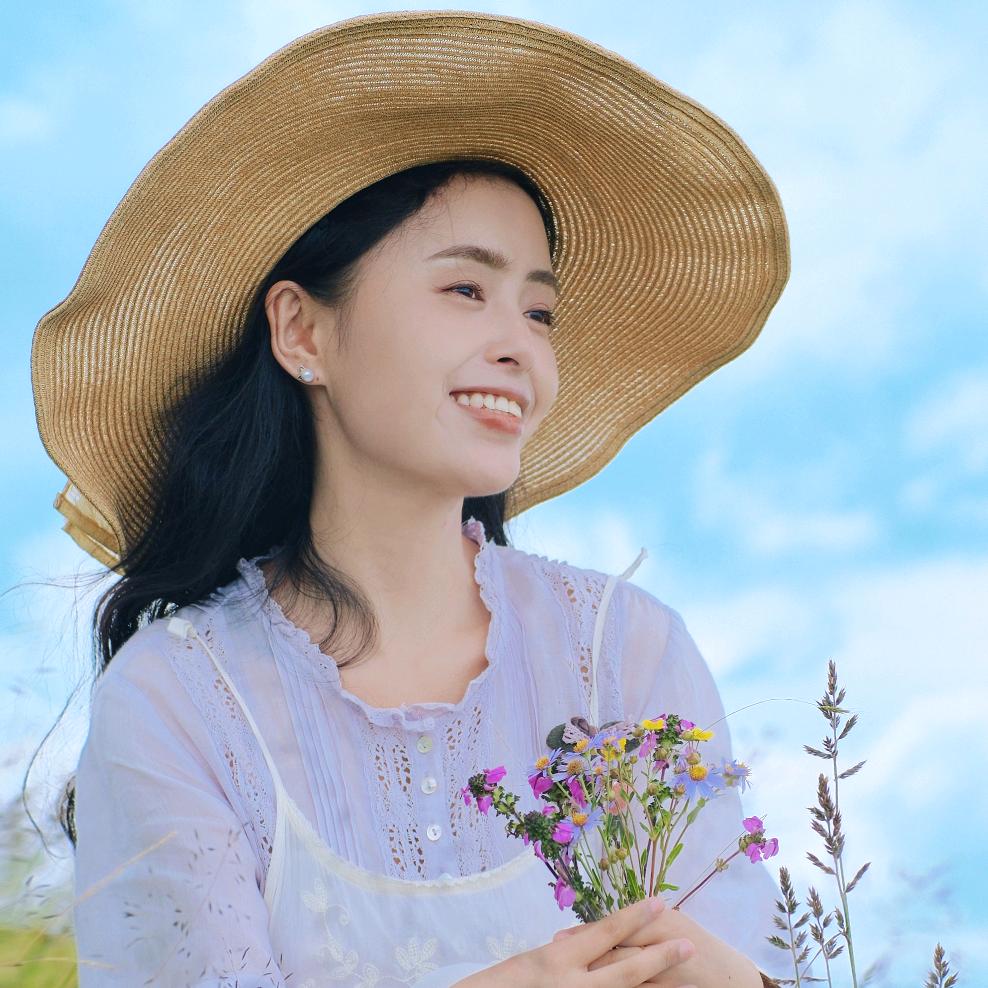 种一只太阳