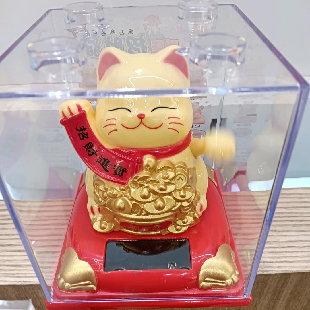 其飞