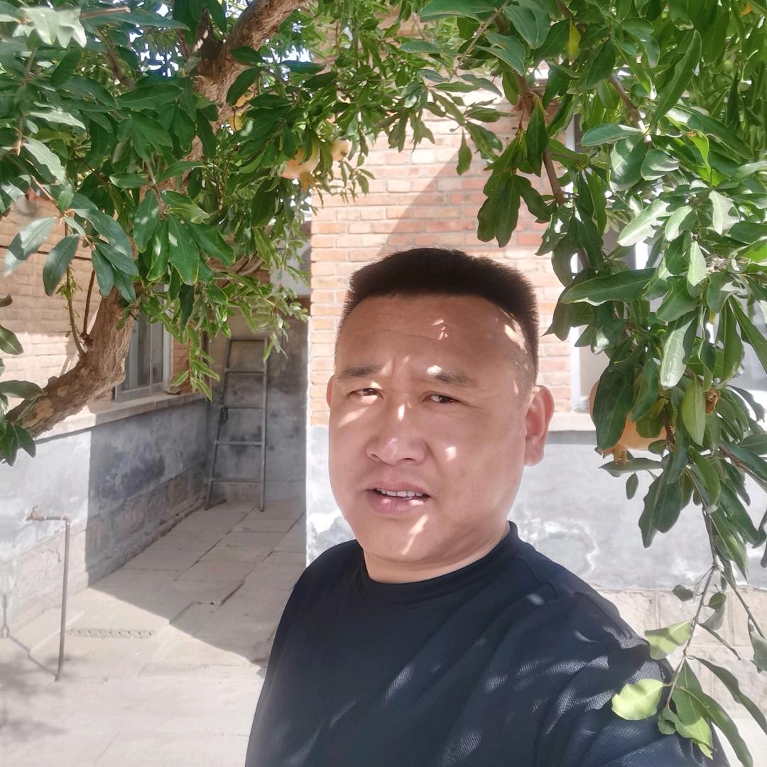 三哥张金锋