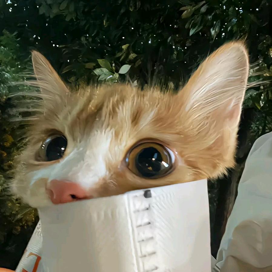 目前前前前