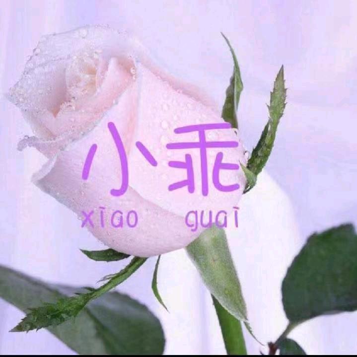 小乖🗼