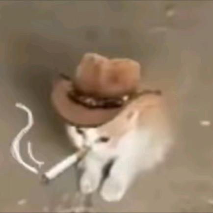 我是啥鼻