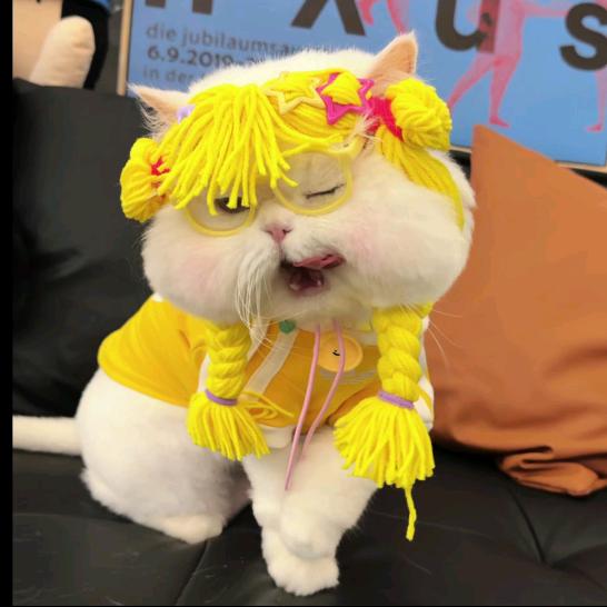 纯欲老奶徒手抓蟑螂ᩚ ִֶָꨄˎˊ˗