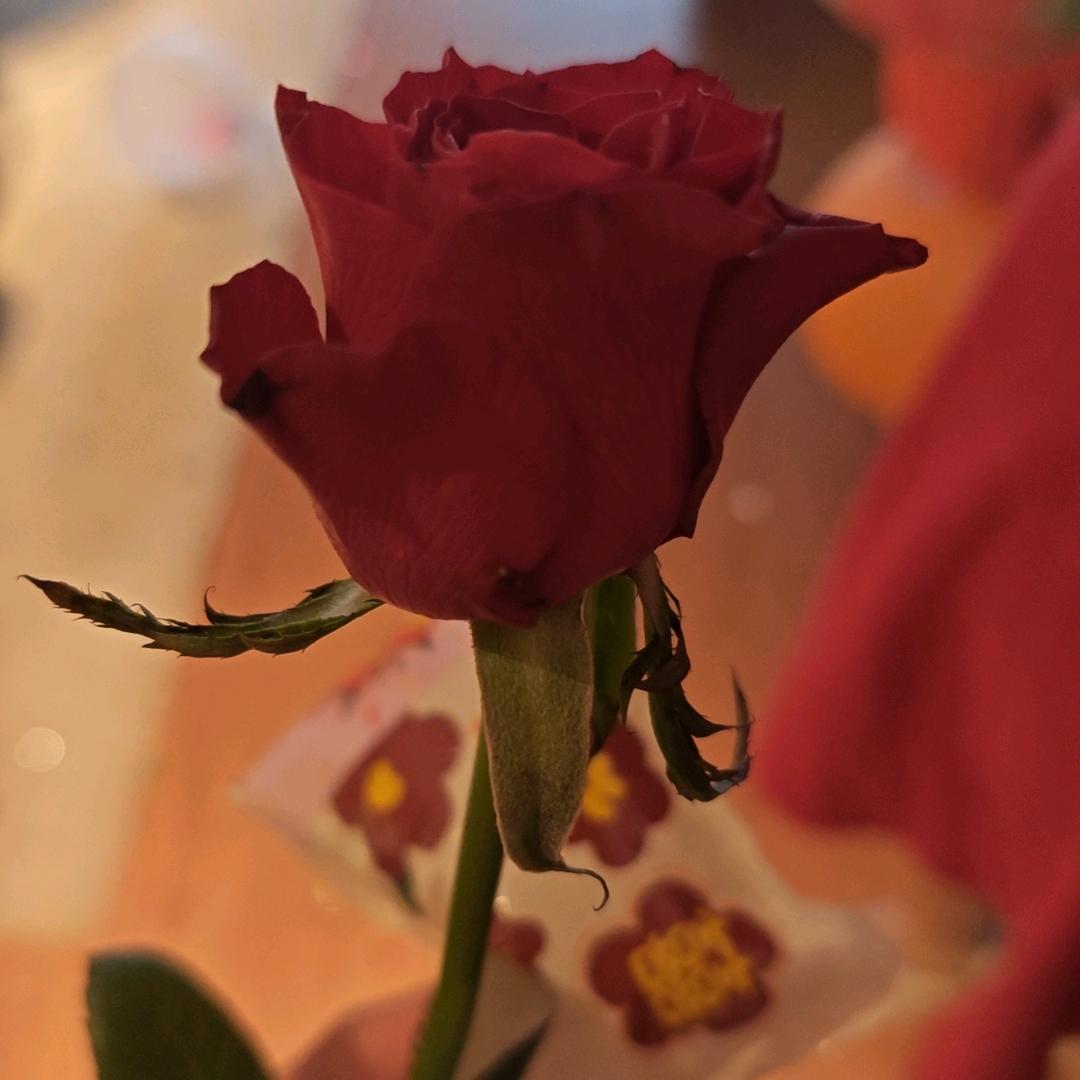 🌟₪所念皆如愿₪💖