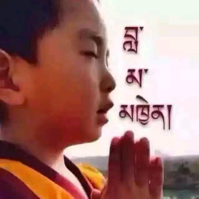拉珍