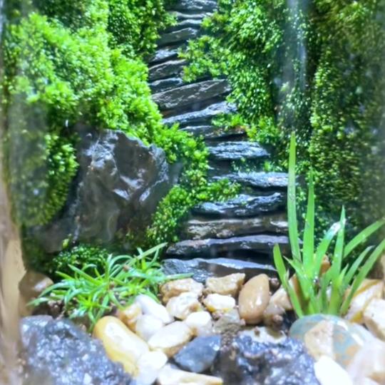 河北外国语（邵经理）