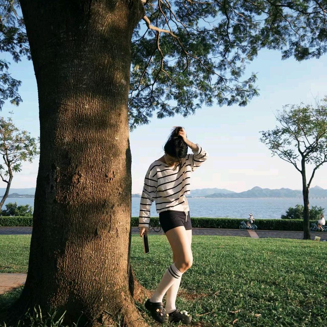 小陀螺（减肥放弃版）🌈