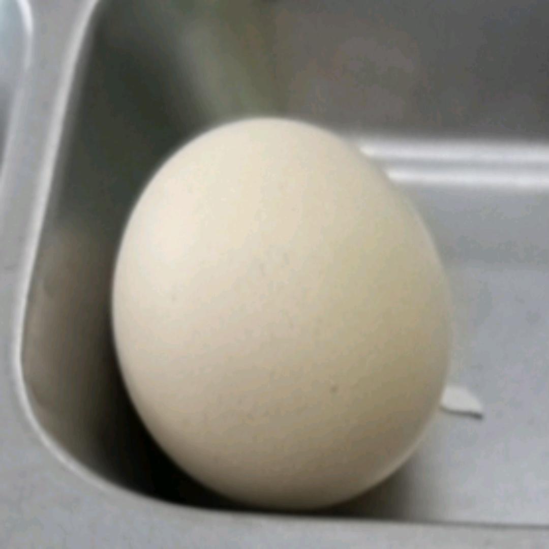 西瓜皮滑行糕手