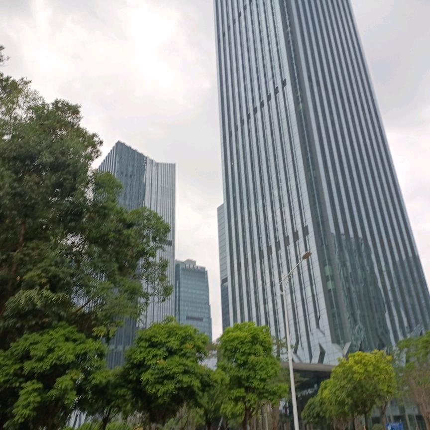 三千金+一少爷
