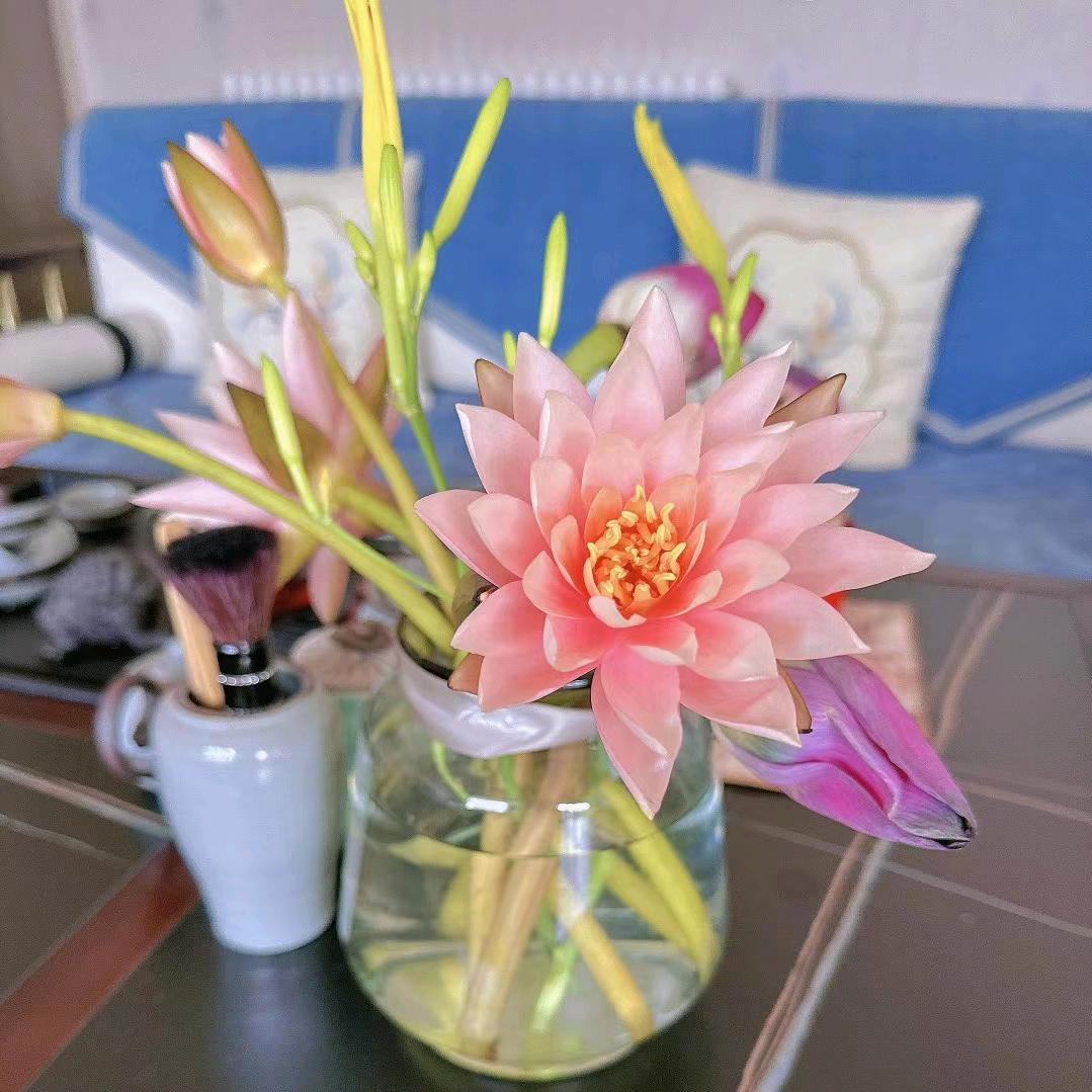 sy邂逅