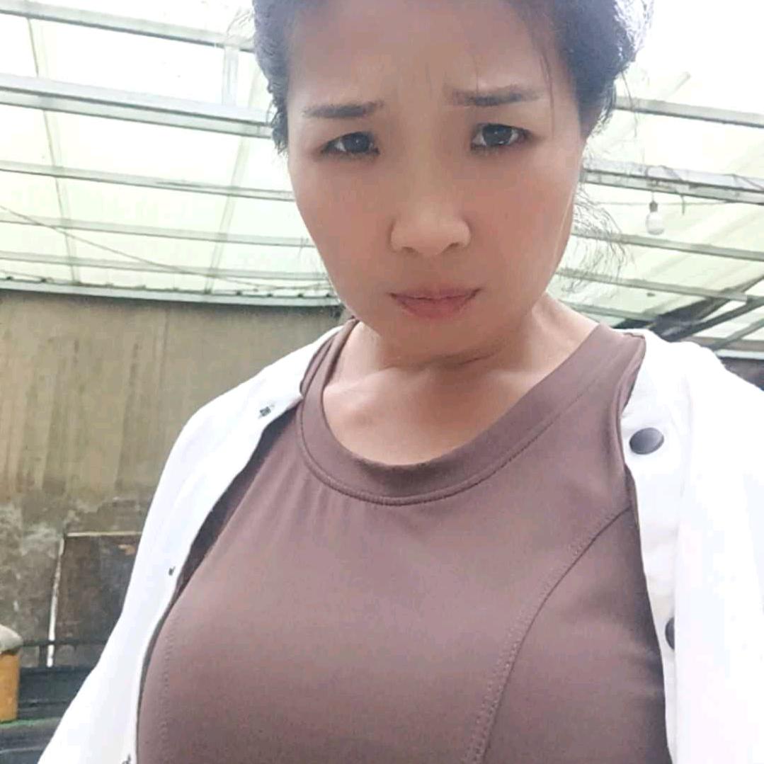 小老杨