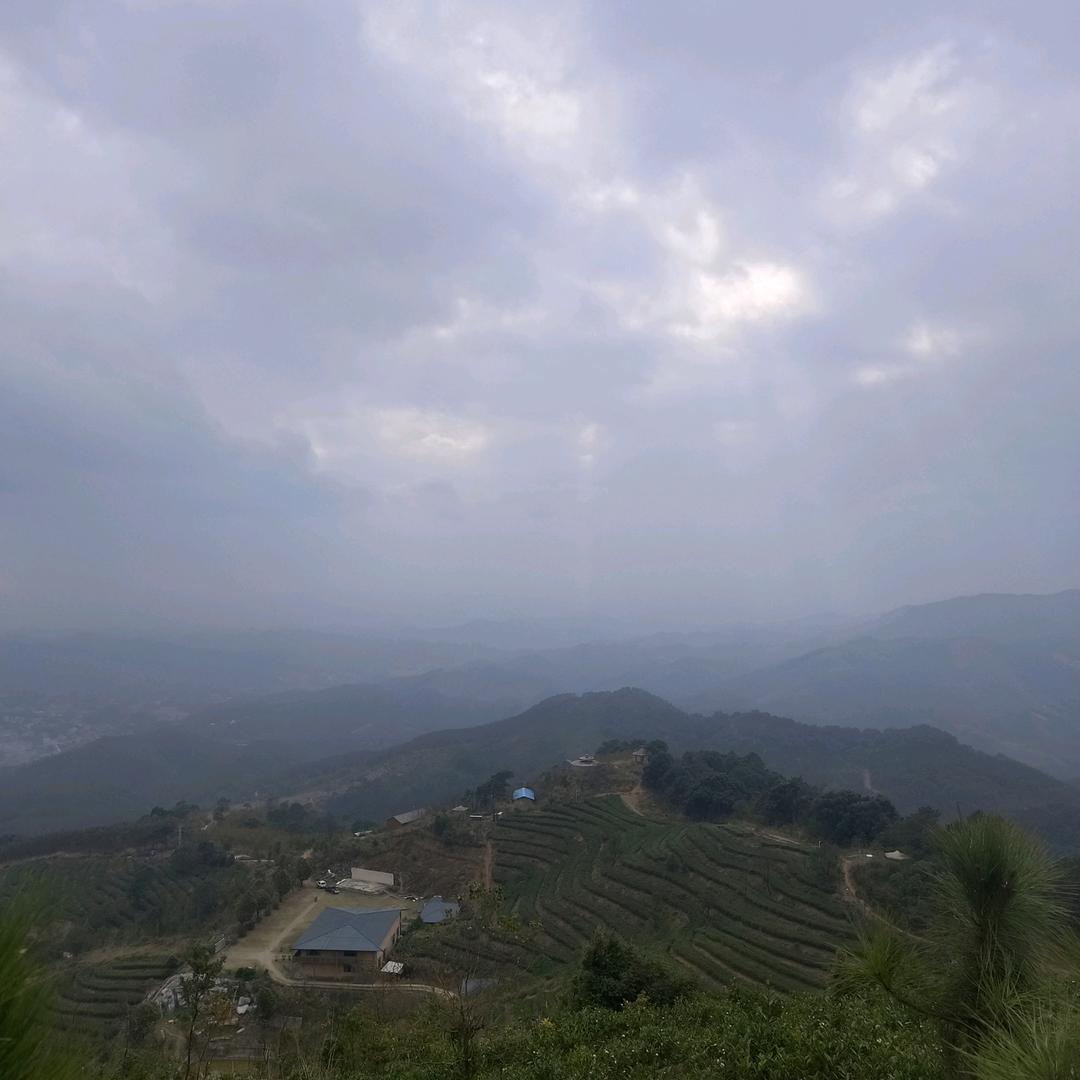 微玄子61334（三强）