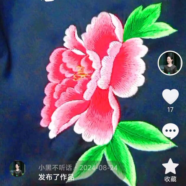 小黑不听话