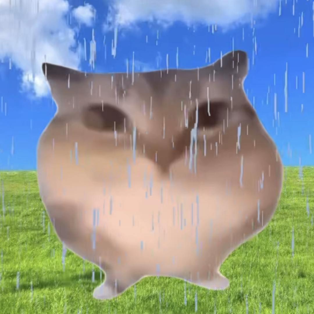 半糖小子