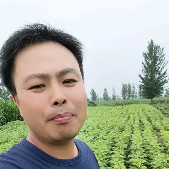老刘