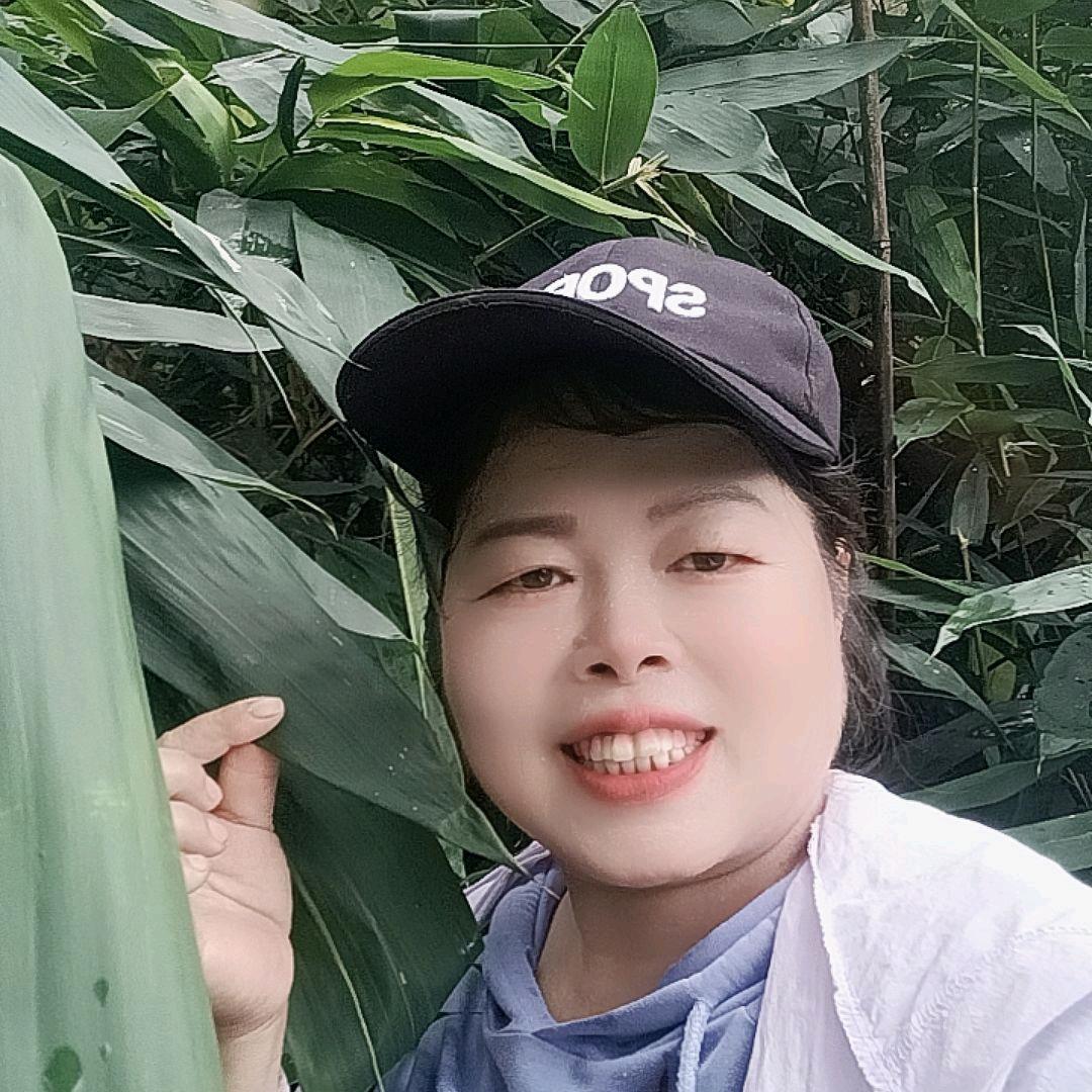 玲恋舞