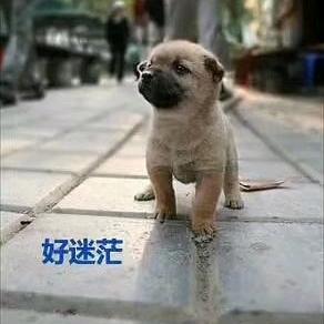 梁松（827）