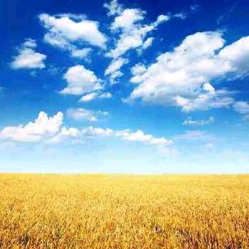 天高云淡  🎤歌在飞