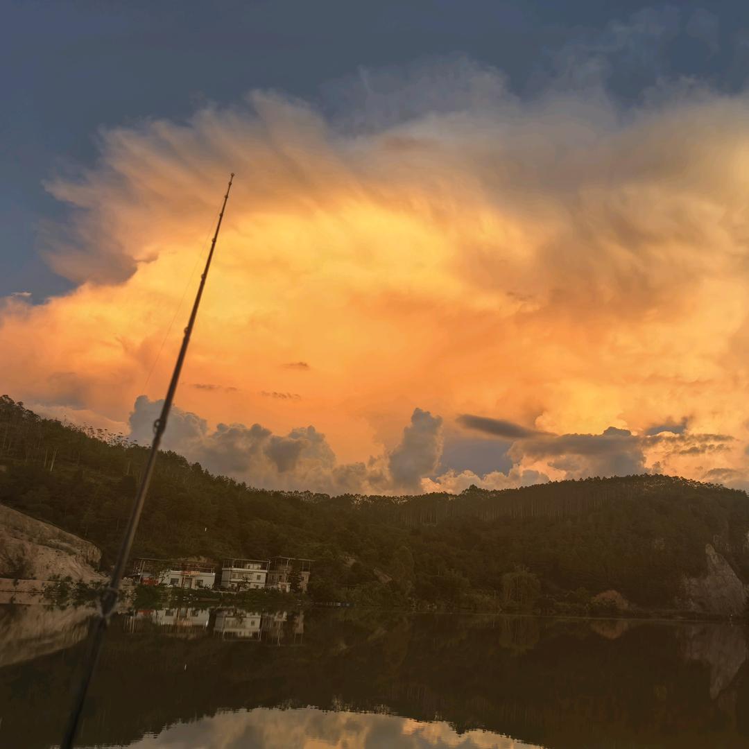 桉木单板生产者杨帅