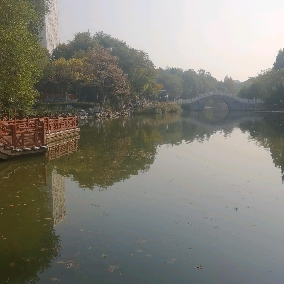 扬帆起航