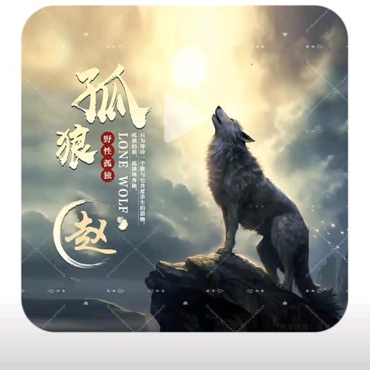 @孤狼