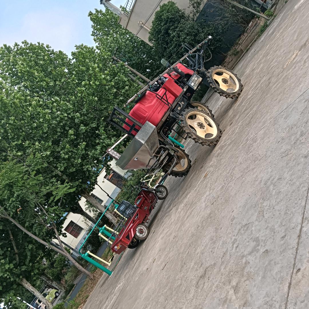 带刺玫瑰