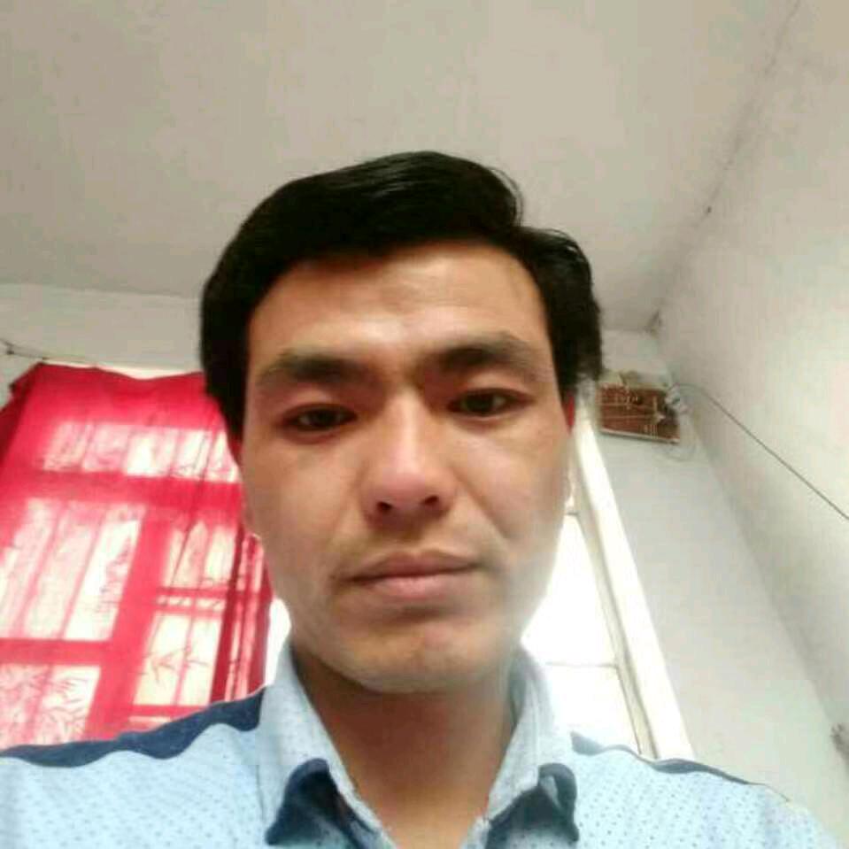 豪情志哥