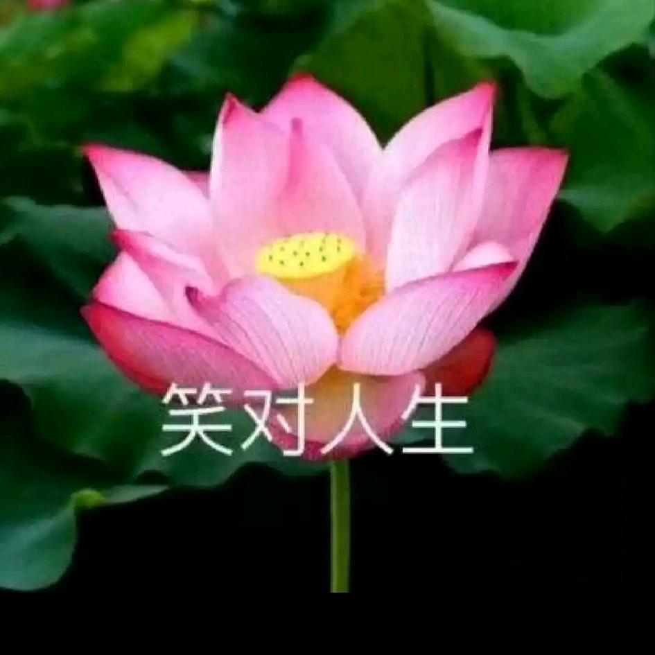 雨中漫步！！！