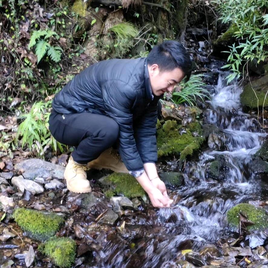 月光下的饿狼