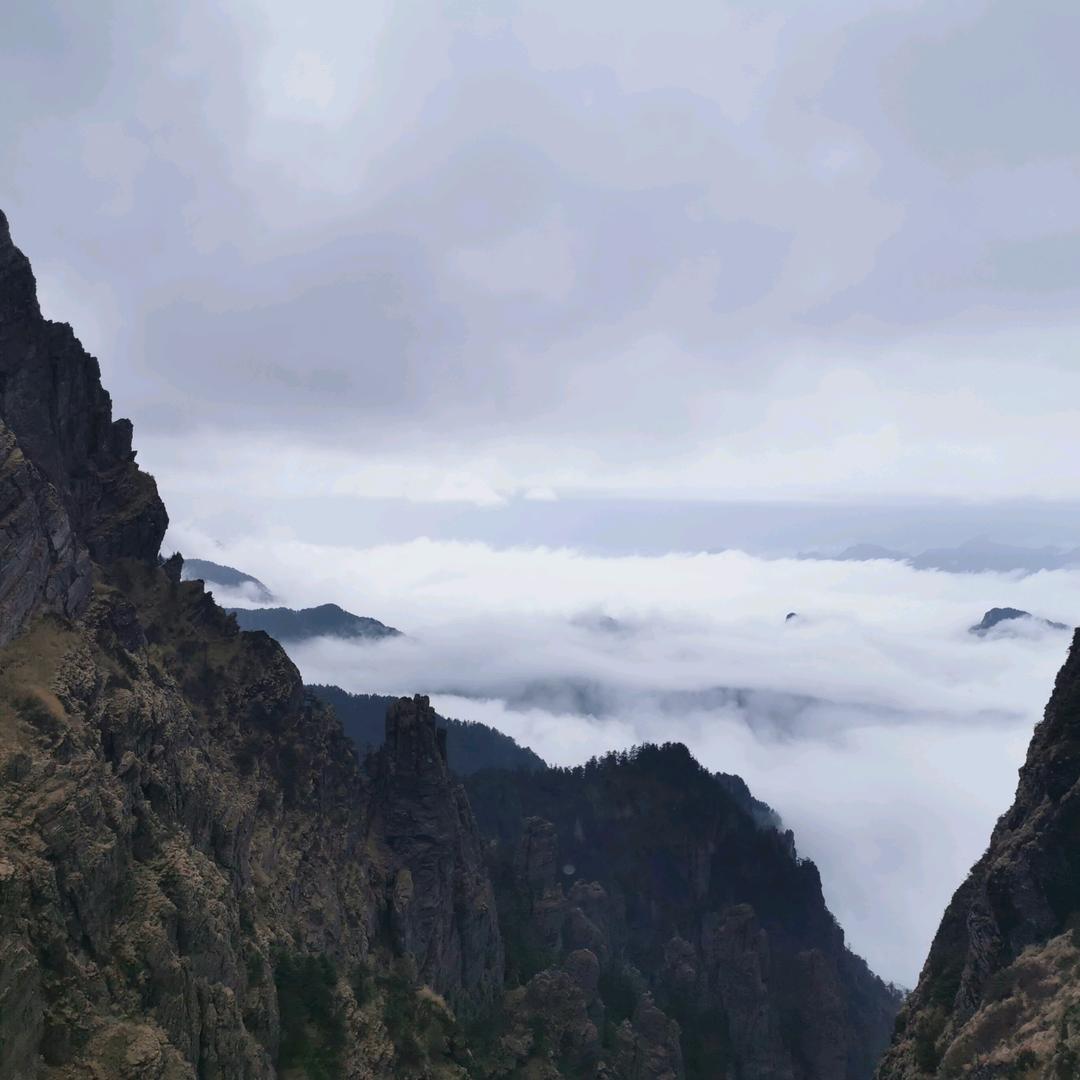 吃炒饭不加土豆丝