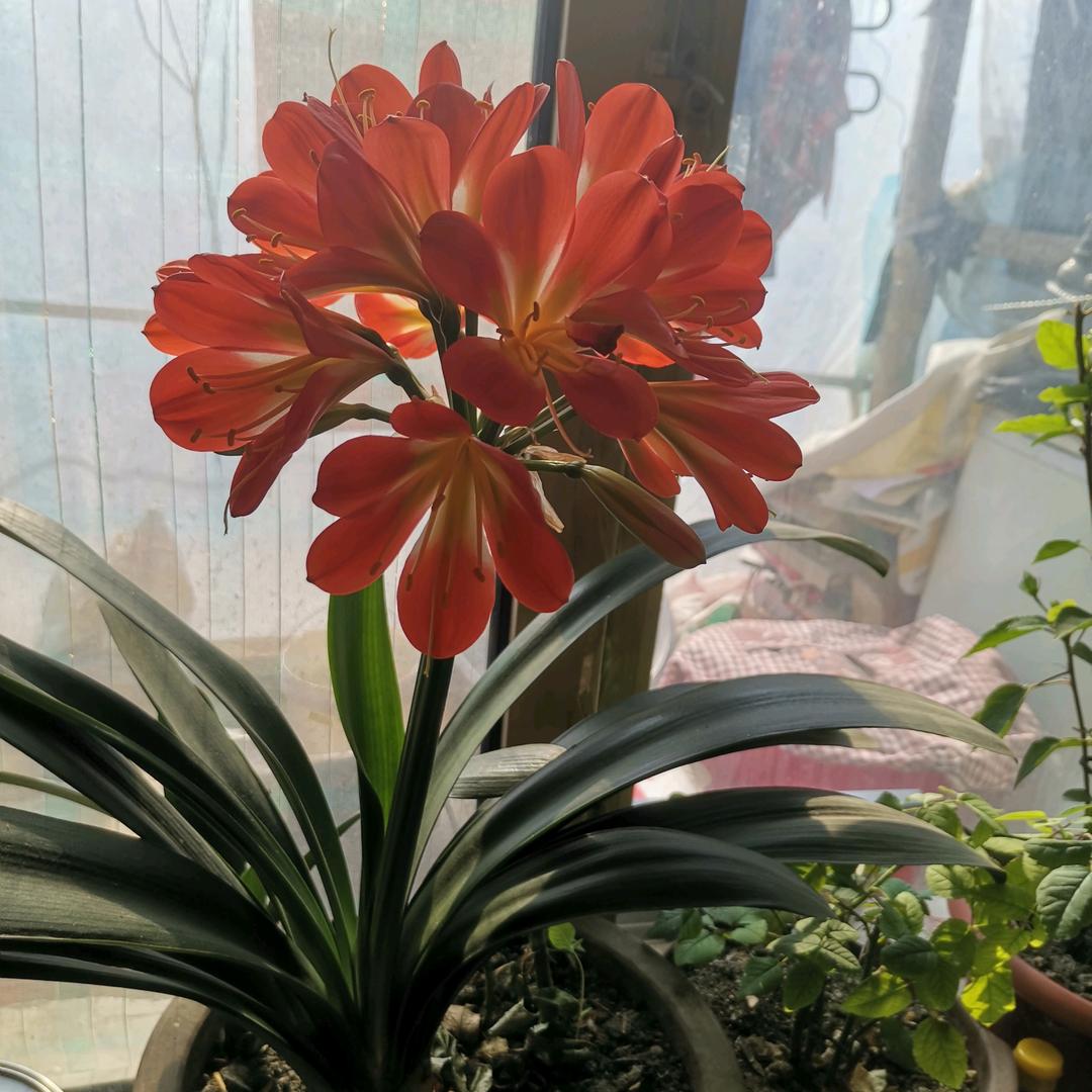 珍贵