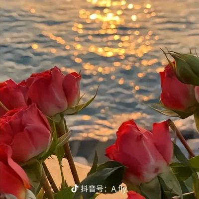 WAY四月😝😜头像