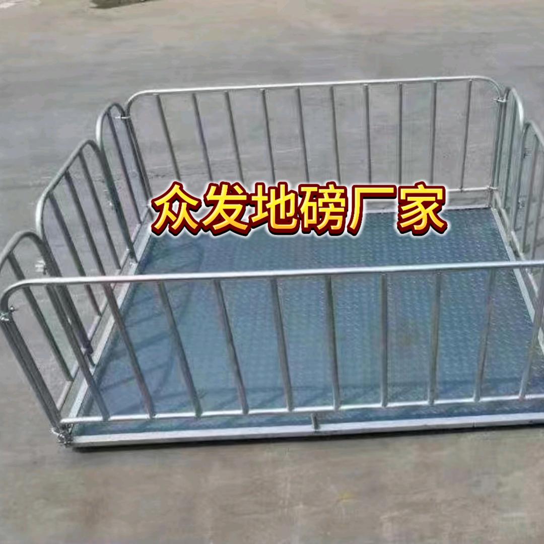 卫辉猪乐乐畜牧地磅工厂
