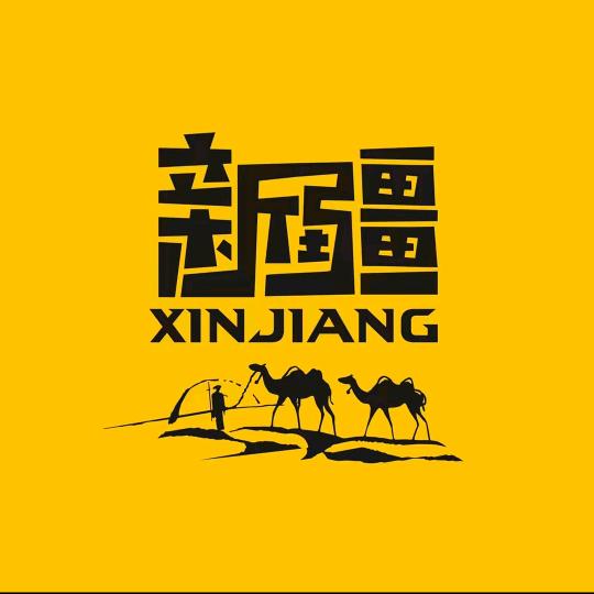 新疆王总