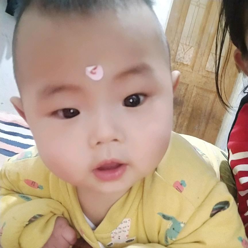 小黑鸭