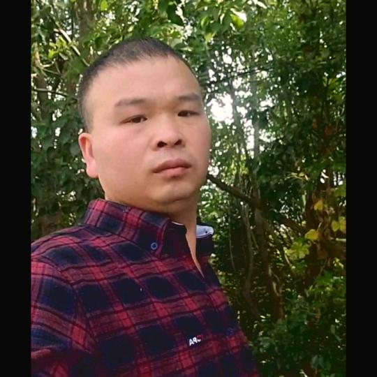 风一样自由✔