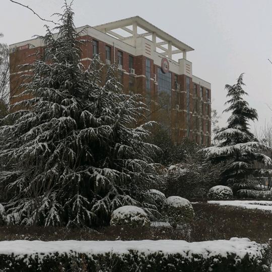 电力小学—张校长姓张