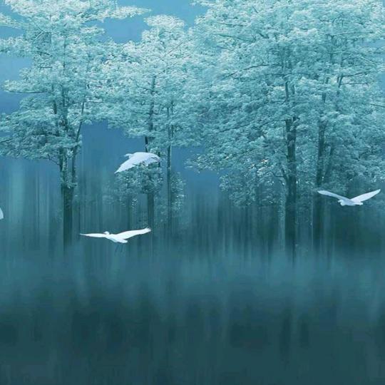 巴拉时尚童装店