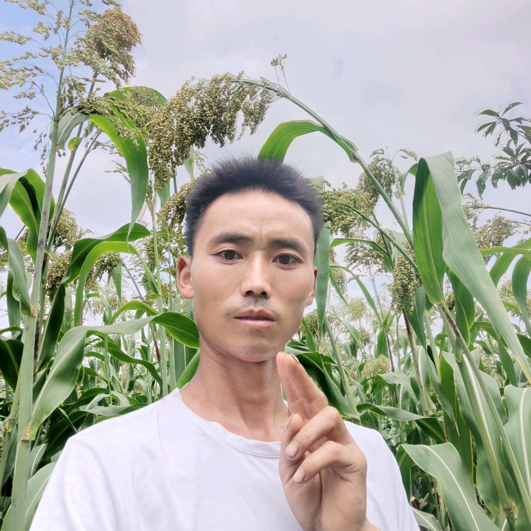 刘学伦