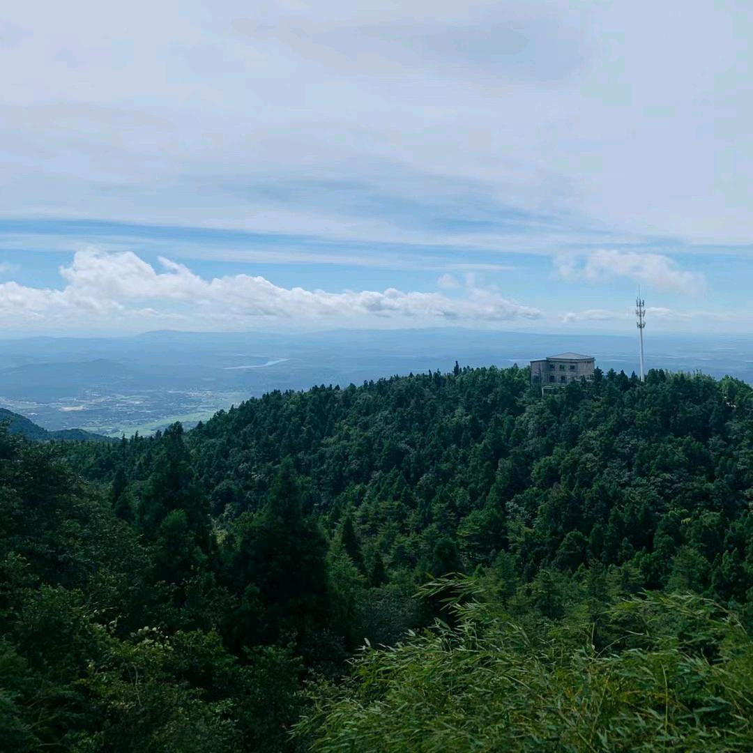 香香香