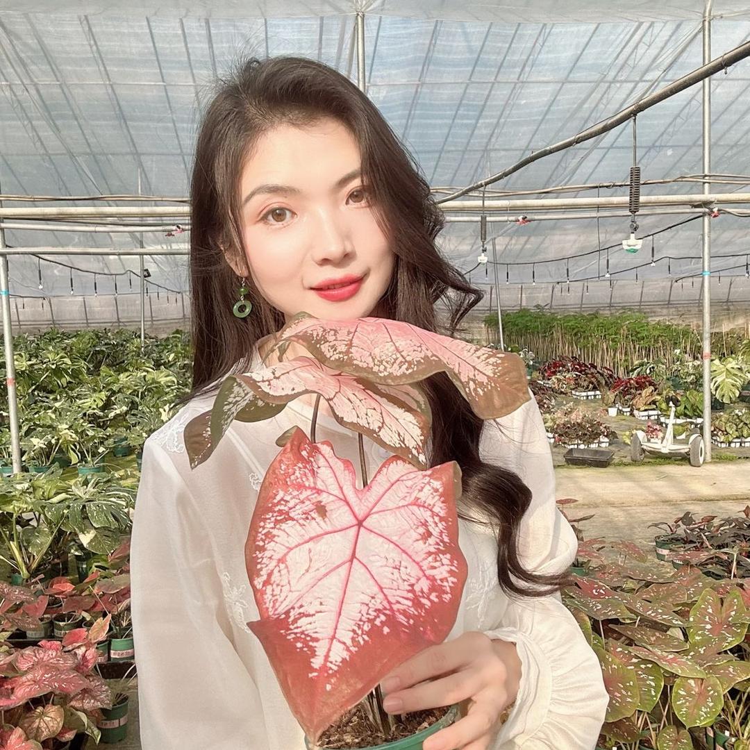 肉墩墩植物馆