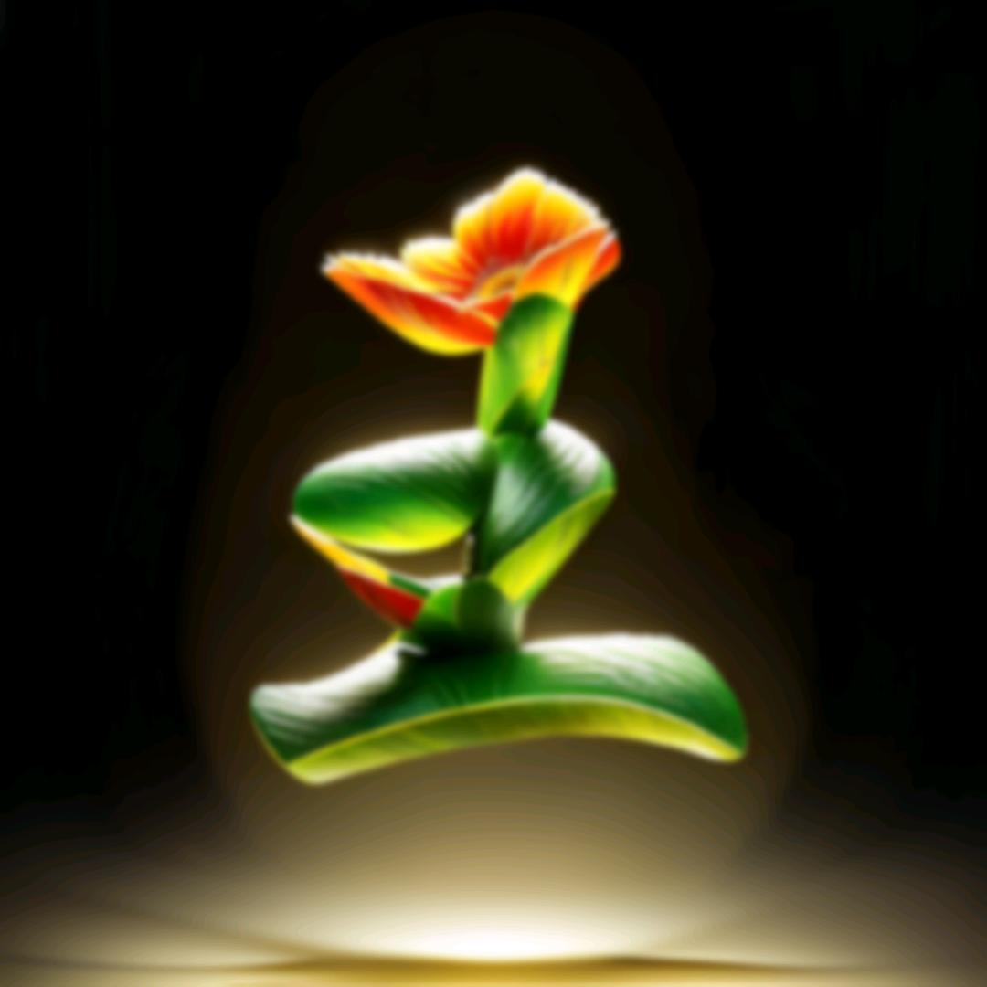 曦龙
