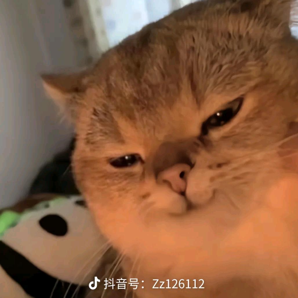 沈么鬼