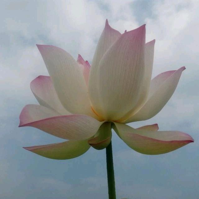 余生是你晚点没关系✌🌹