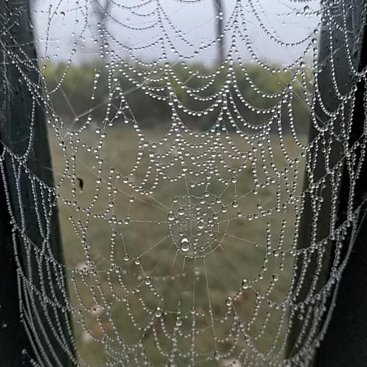 🌈一指流砂🌈🌈🌈