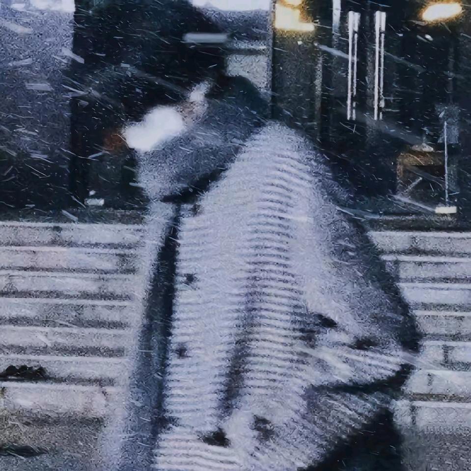 路亽白夜
